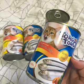 [펫토리아]토로토로 고양이 주식캔 — 4.5점을 준 리뷰어가 2019년 8월 올린 사용 사진