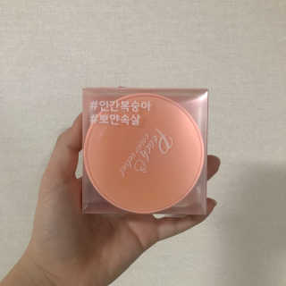[블랙루즈] 피치 커버 벨벳 쿠션 2종 중 택1 — 4점을 준 리뷰어가 2019년 10월 올린 사용 사진