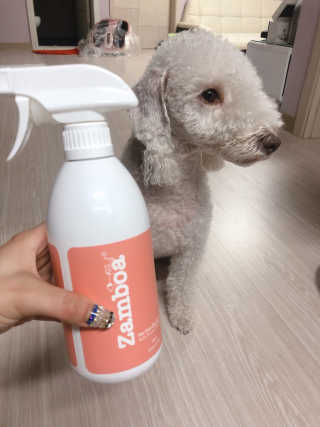mangjizz님이 올린 리뷰 사진 3