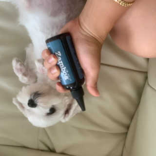 짱아야님이 올린 리뷰 사진 1