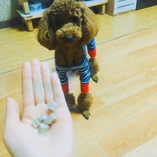 쪠님이 올린 리뷰 사진 1