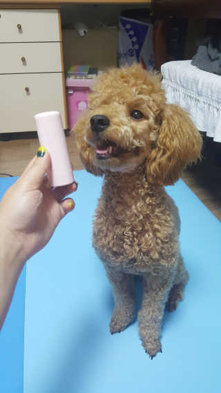 songyn님이 올린 리뷰 사진 2