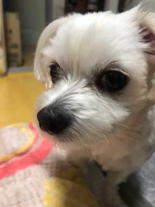 삐아니스트님이 올린 리뷰 사진 3