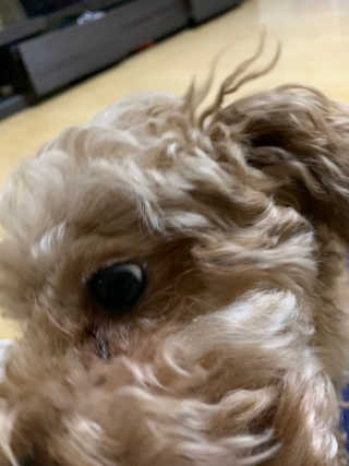 띠옹이님이 올린 리뷰 사진 2