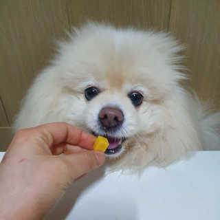 치리짱님이 올린 리뷰 사진 2