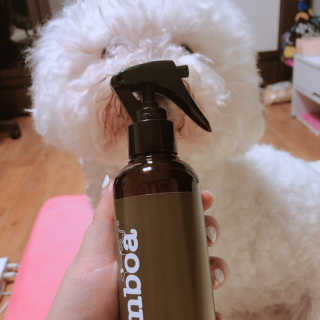 노콩님이 올린 리뷰 사진 3
