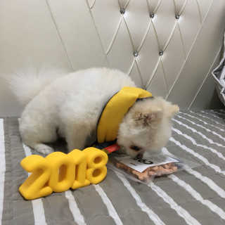 dodo님이 올린 리뷰 사진 4