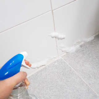 영지버섯님이 올린 리뷰 사진 2