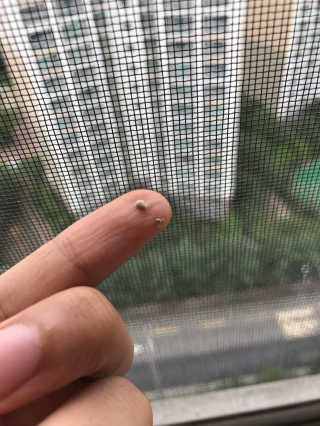 잘쓸자신있거든여님이 올린 리뷰 사진 3
