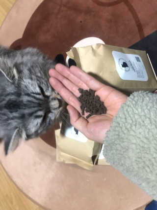 배융빵님이 올린 리뷰 사진 2