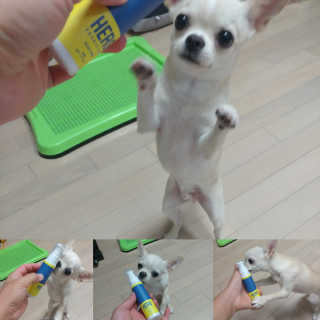 문띠님이 올린 리뷰 사진 1