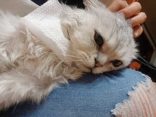이영실님이 올린 리뷰 사진 4