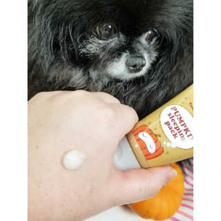 Peepingpomeranian님이 올린 리뷰 사진 2