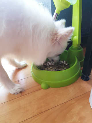 YouReena님이 올린 리뷰 사진 3
