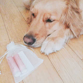 아보카도올리브님이 올린 리뷰 사진 1