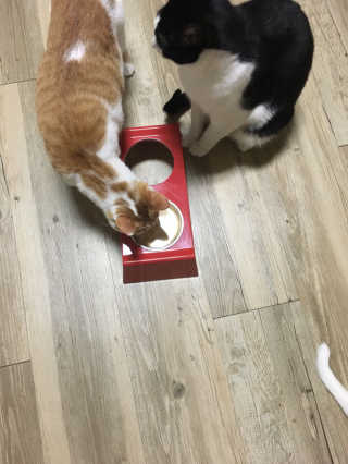 정선님이 올린 리뷰 사진 2