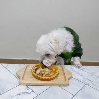 시우하늘맘님이 올린 리뷰 사진 3