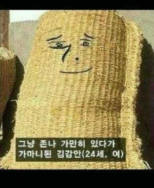 Sul슬아Lee님이 올린 리뷰 사진 1