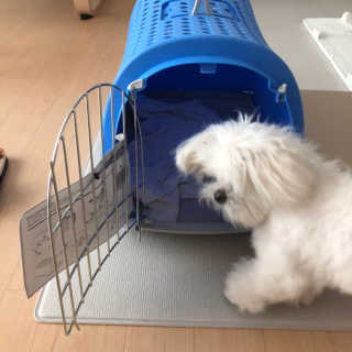 율리킴님이 올린 리뷰 사진 3