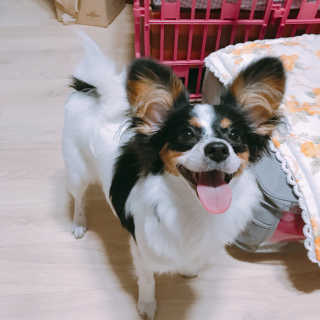 큡빠님이 올린 리뷰 사진 2