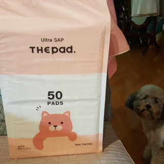 sonu님이 올린 리뷰 사진 1