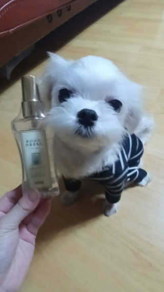 김혜원님이 올린 리뷰 사진 1