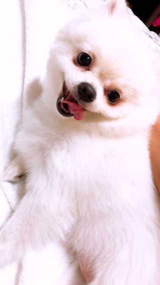 라비앙님이 올린 리뷰 사진 2