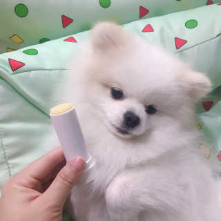 제리톰레나님이 올린 리뷰 사진 2