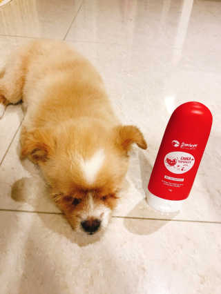 제이님이 올린 리뷰 사진 1