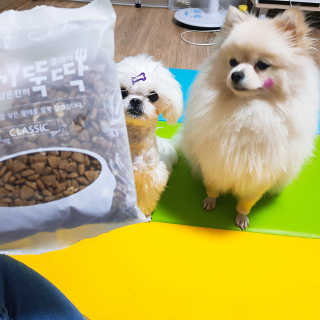 뚱이땅콩맘님이 올린 리뷰 사진 2