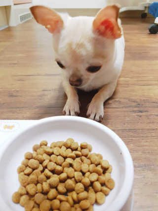 Bella님이 올린 리뷰 사진 1