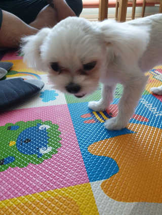 삐랭이님이 올린 리뷰 사진 4