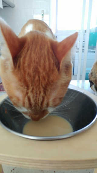 Jaehoon.y님이 올린 리뷰 사진 4