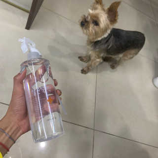 [펫토리아]살균뚝딱 강아지 고양이 살균소독제 탈취제 — 5점을 준 리뷰어가 2019년 10월 올린 사용 사진