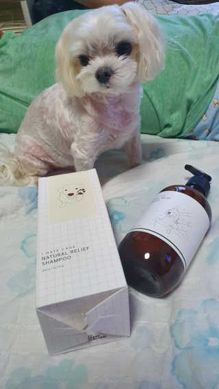 SeulkiYi님이 올린 리뷰 사진 3
