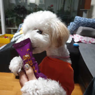 민동2님이 올린 리뷰 사진 4