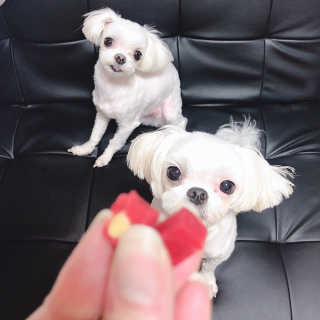 VV님이 올린 리뷰 사진 1