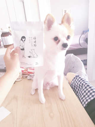 꿀꿀이님이 올린 리뷰 사진 2