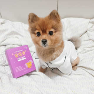 은선이짱님이 올린 리뷰 사진 1