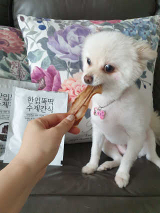 [펫토리아] 한입뚝딱 강아지 수제간식 BEST 5종 — 4.5점을 준 리뷰어가 2019년 2월 올린 사용 사진