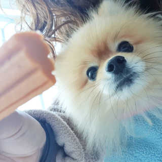 코튼캔디님이 올린 리뷰 사진 2