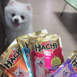 [펫토리아] 토로토로 하치  강아지 파우치간식 — 4점을 준 리뷰어가 2019년 7월 올린 사용 사진
