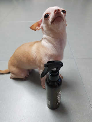 졍e.님이 올린 리뷰 사진 3