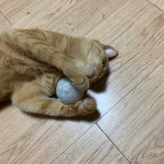 은니님이 올린 리뷰 사진 3