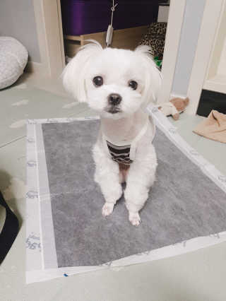 듀부듀부님이 올린 리뷰 사진 2