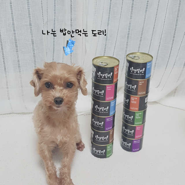 [펫토리아] BEST 한캔뚝딱 강아지 캔간식 리뷰 사진