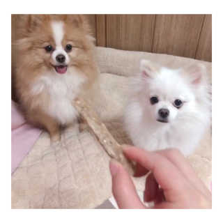 영블리님이 올린 리뷰 사진 1