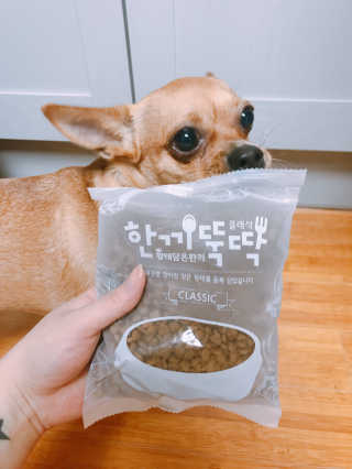 펫토리아 한끼뚝딱 클래식 강아지 건식사료 — 5점을 준 리뷰어가 2019년 4월 올린 사용 사진