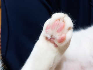 Namjane님이 올린 리뷰 사진 1