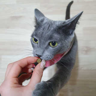 율집사님이 올린 리뷰 사진 2